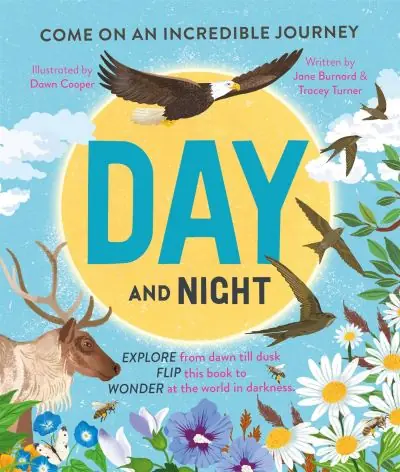 Special Offer Day and Night