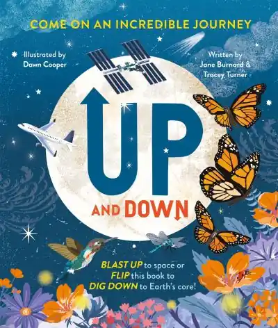 Up and Down Final Sale