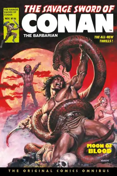 Fan Favorite The Savage Sword of Conan Vol. 4