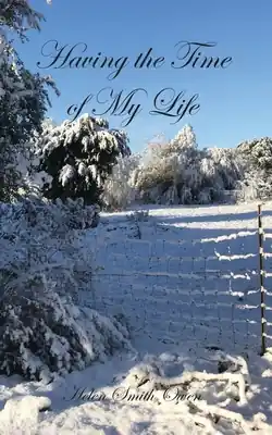 Brand New Having the Time of My Life (Paperback)