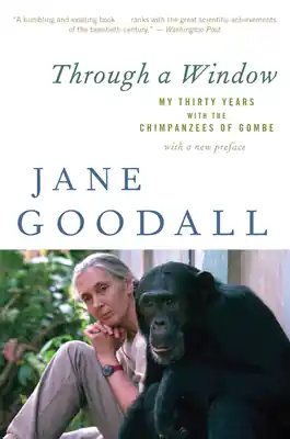 High Quality Through A Window: My Thirty Years with the Chimpanzees of Gombe (Paperback)